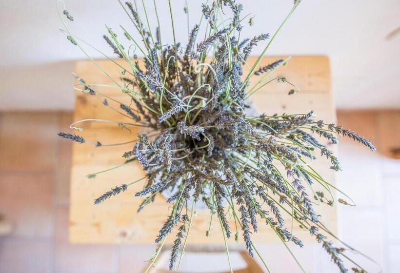 חדר סטנדרט, Agriturismo La Palascìa Masseria Agreste