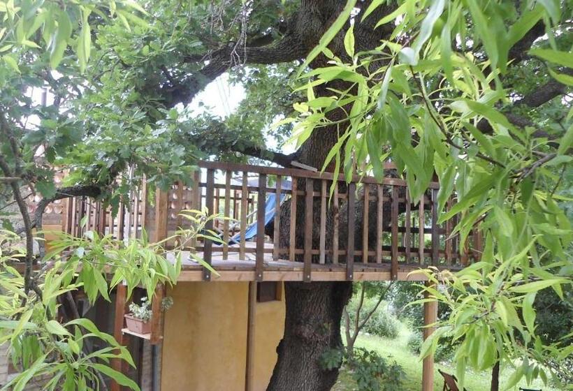 شقة غرفة واحدة مزودة بتراس, Agriturismo Via Del Campo