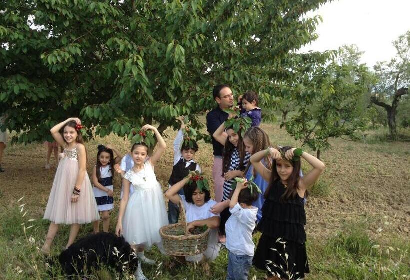 شقة غرفة واحدة مزودة بتراس, Agriturismo Via Del Campo