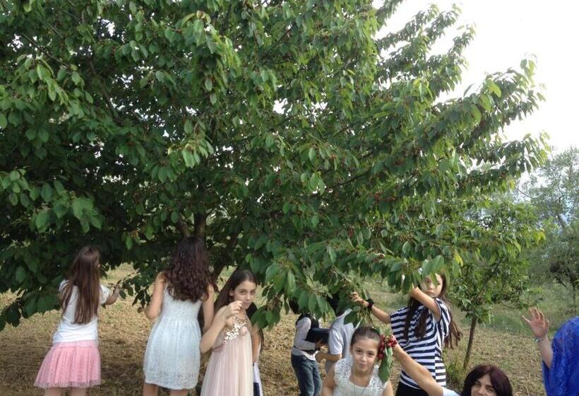 غرفة قياسية, Agriturismo Via Del Campo