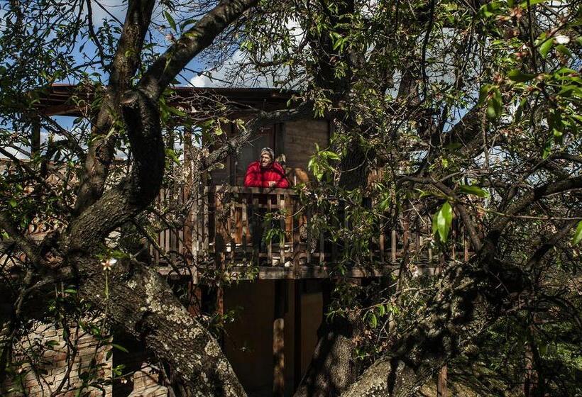 オーシャンビュースタンダードルームバルコニー付き, Agriturismo Via Del Campo