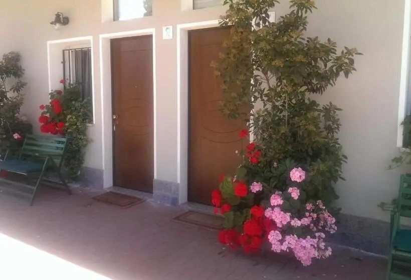 استودیوی استاندارد, A New Guesthouse