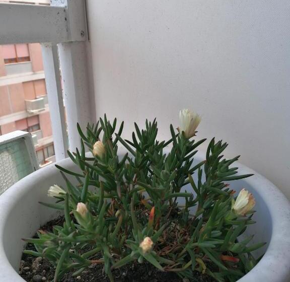 Triple Room Sea View, La Dimora Del Conte