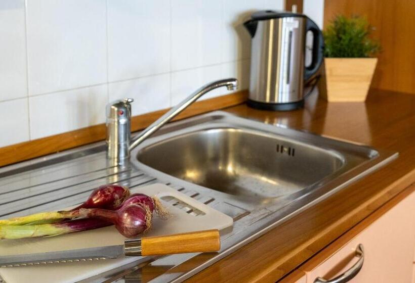 חדר סטודיו סטנדרד, Residence Ferraud