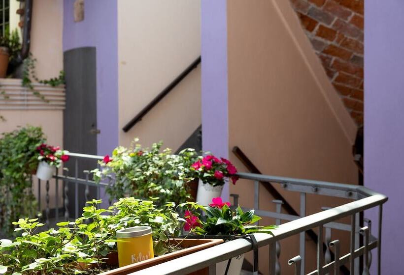 סטודיו סופריור, Residence Ferraud