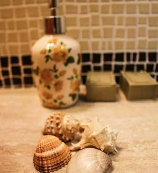 １ベッドルームアパートメント, Agriturismo Ferruggini