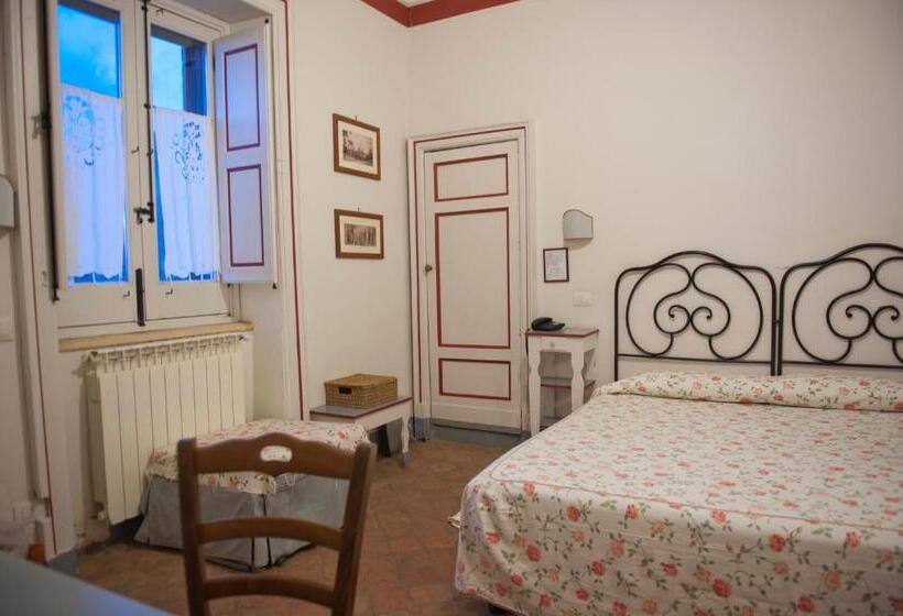 スタンダードルーム, Case Perrotta