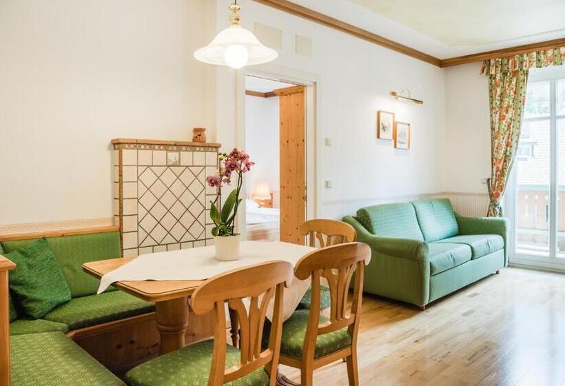 带1个卧室的公寓, Naturresidence Dolomitenhof