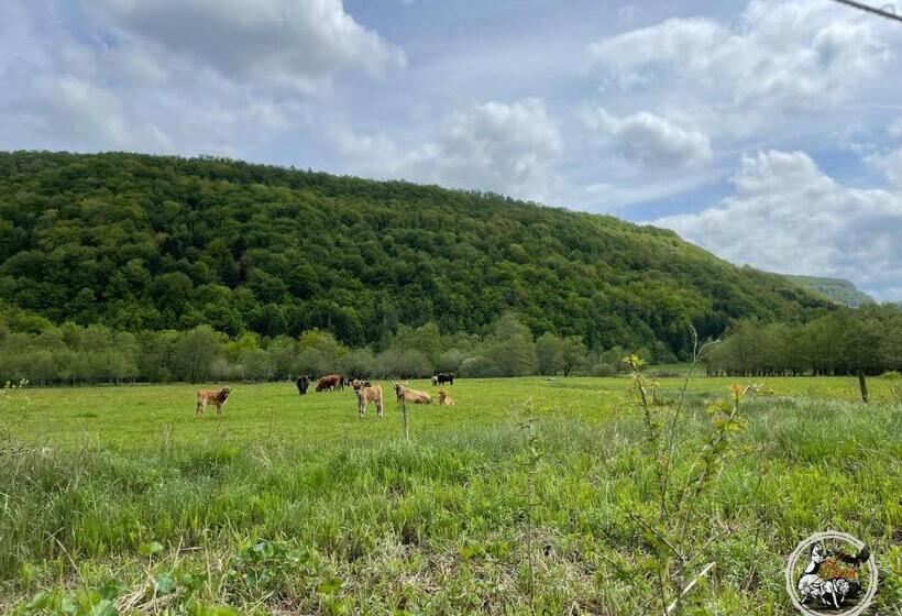 스탠다드 방갈로, Parc Animalier Du Hérisson