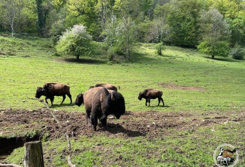 스탠다드 방갈로, Parc Animalier Du Hérisson
