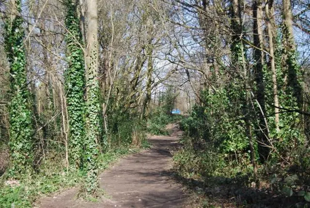 庭の見えるシングルルーム, 118 Shepherds Lane