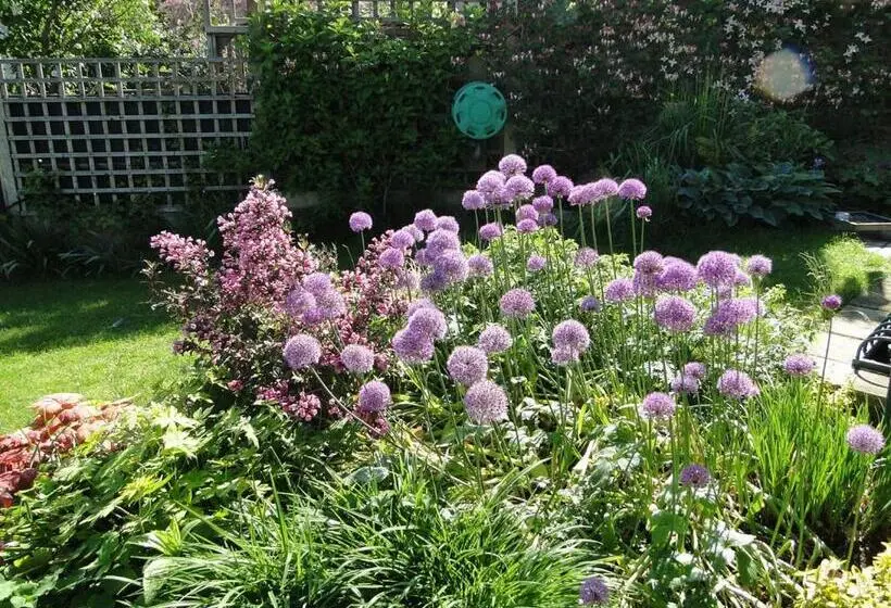 庭の見えるシングルルーム, 118 Shepherds Lane