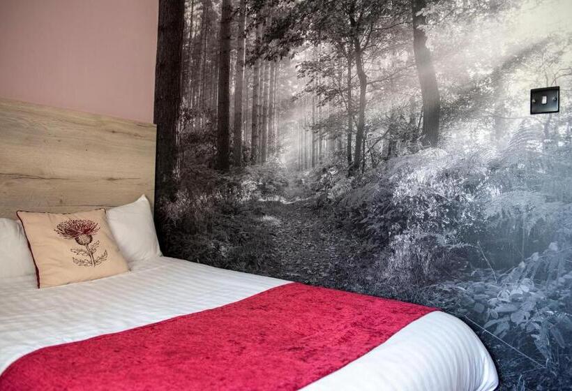 标准单人间, Bridleways Guesthouse & Holiday Homes