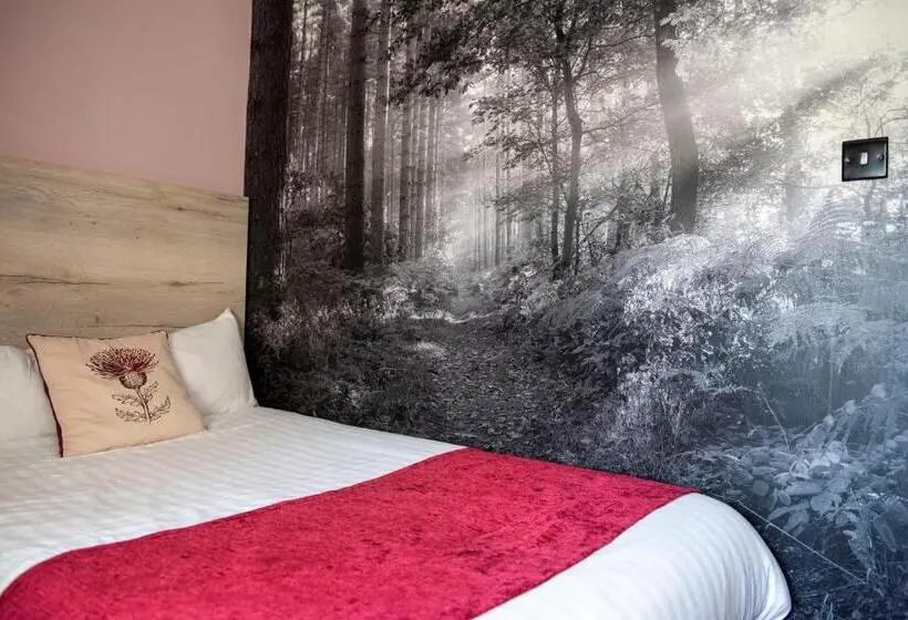 スタンダードシングルルーム, Bridleways Guesthouse & Holiday Homes