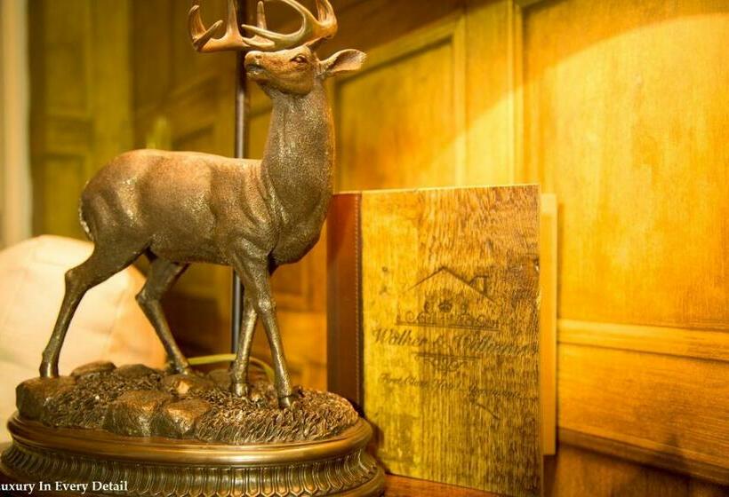 شقة غرفة نوم واحدة بالطابق الأرضى, No.10 Preston