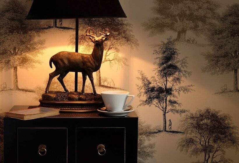 デラックスルーム, The Queens At Horton