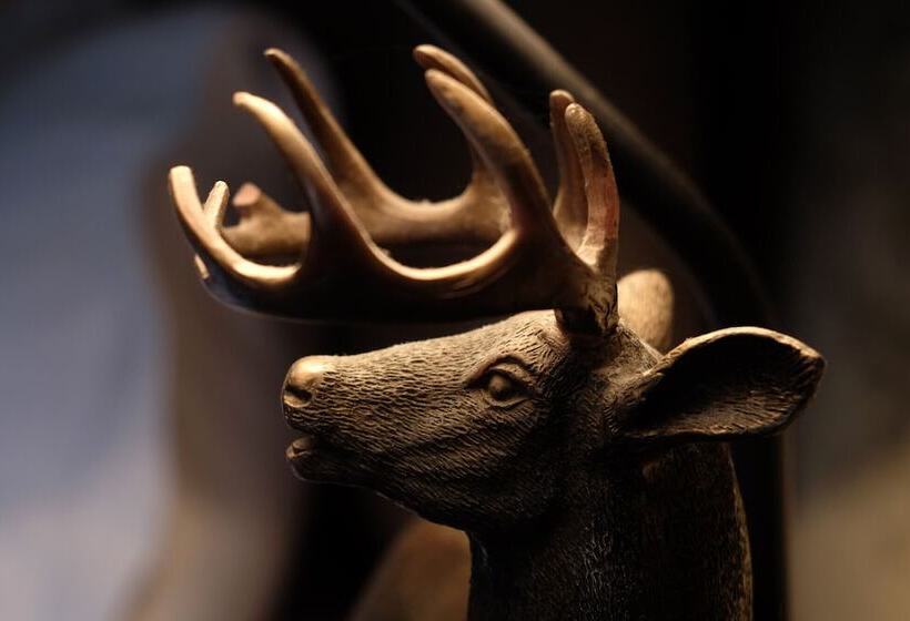 デラックスルーム, The Queens At Horton