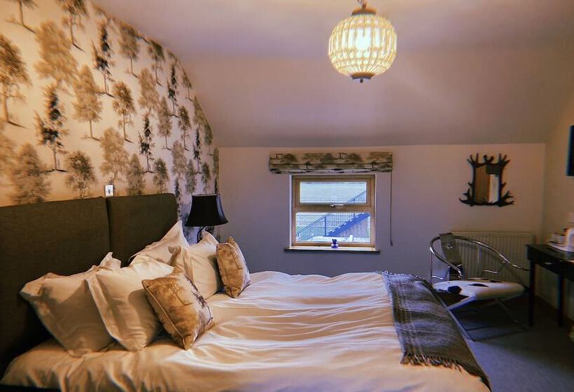 デラックスルーム, The Queens At Horton