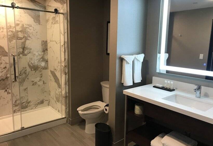 جناح, Embassy Suites By Hilton Plainfield Indianapolis Airport