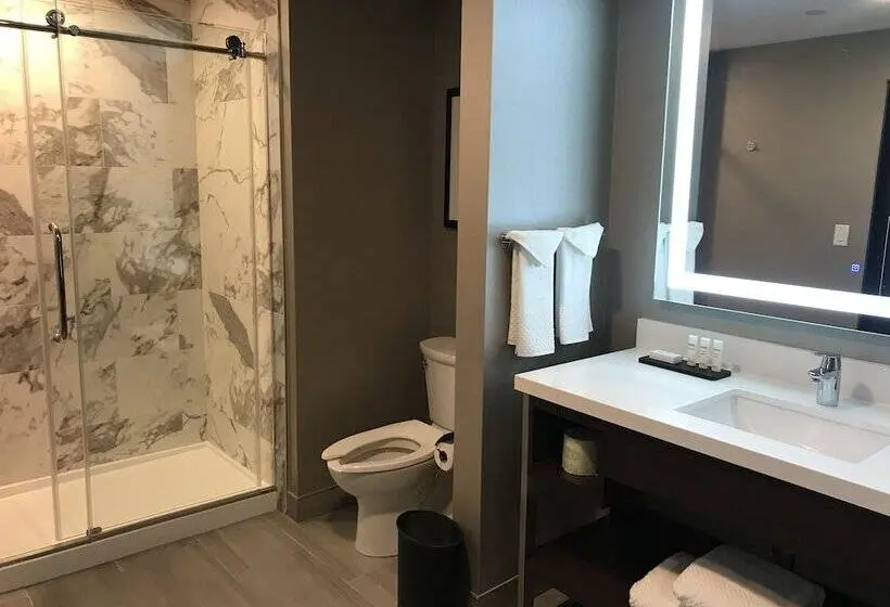 سوییت, Embassy Suites By Hilton Plainfield Indianapolis Airport
