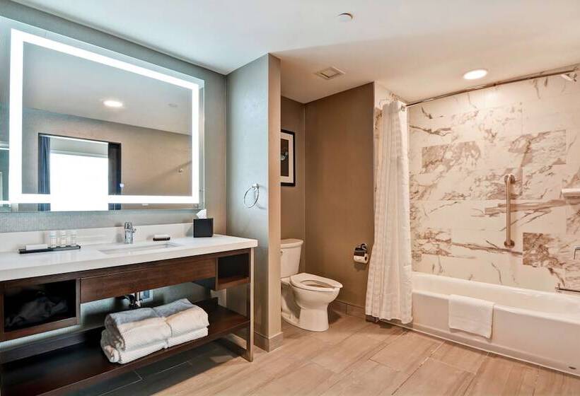 جناح, Embassy Suites By Hilton Plainfield Indianapolis Airport