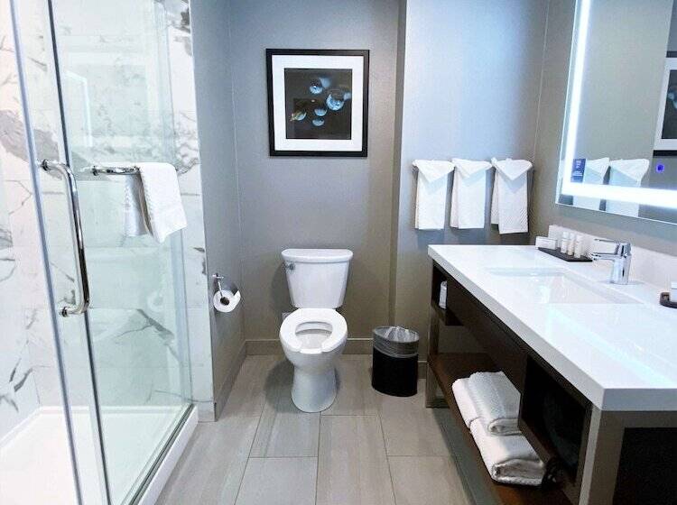 جناح, Embassy Suites By Hilton Plainfield Indianapolis Airport