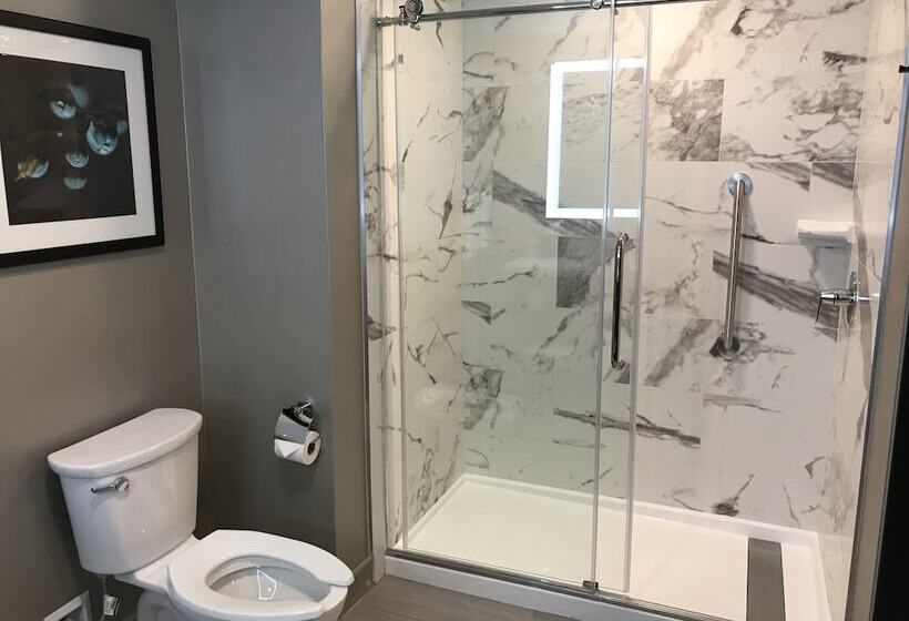 סוויטה, Embassy Suites By Hilton Plainfield Indianapolis Airport