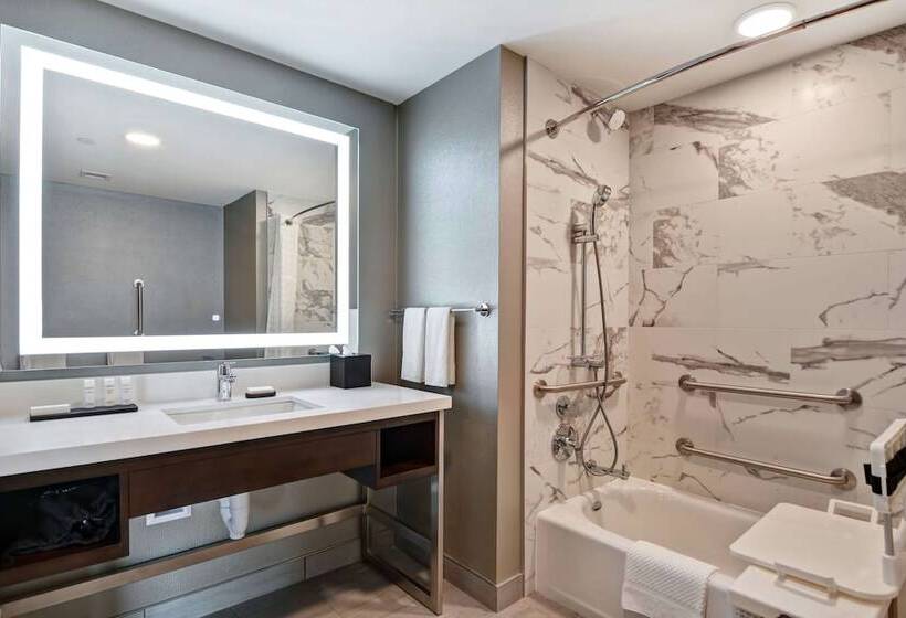סוויטה, Embassy Suites By Hilton Plainfield Indianapolis Airport
