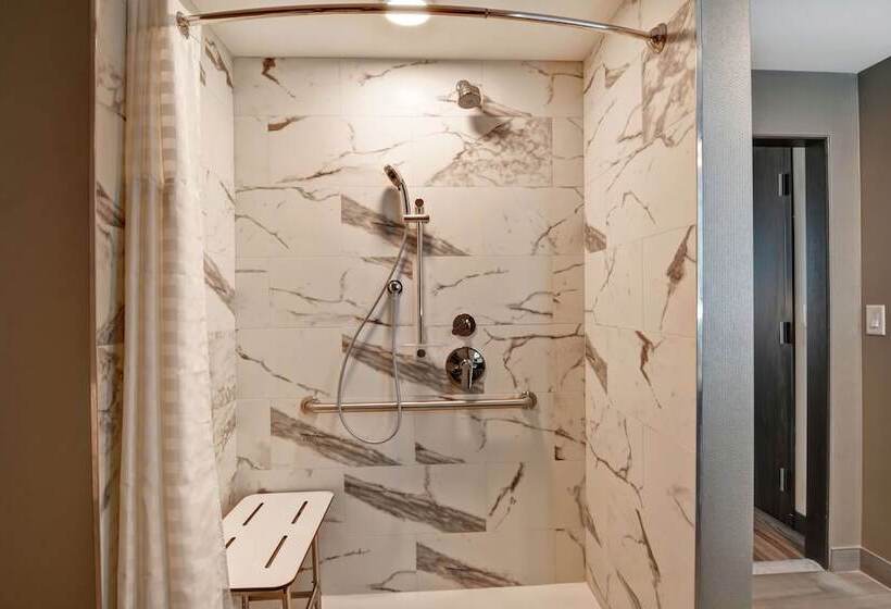 جناح, Embassy Suites By Hilton Plainfield Indianapolis Airport