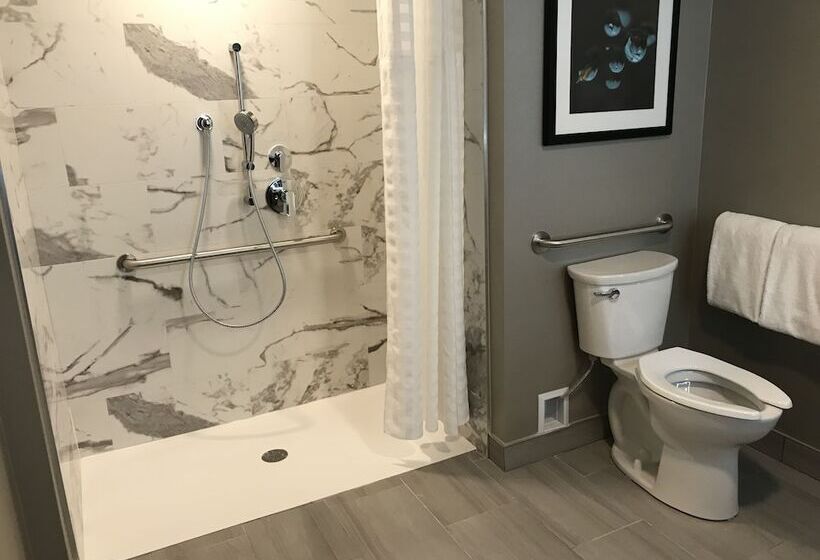 جناح, Embassy Suites By Hilton Plainfield Indianapolis Airport