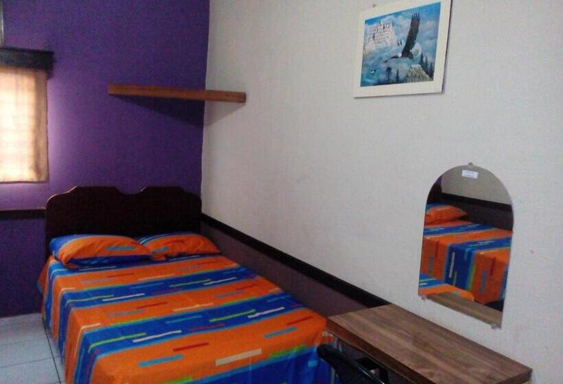 اتاق لوکس, Latino