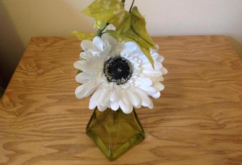 스탠다드 룸, Claydens