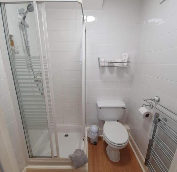 Номер Deluxe Одноместный, Sinai House
