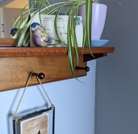 חדר סופריור נוף לים, The Broadwater Guest House