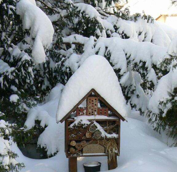 スタンダードルーム, Zimmervermietung Heide Fiege