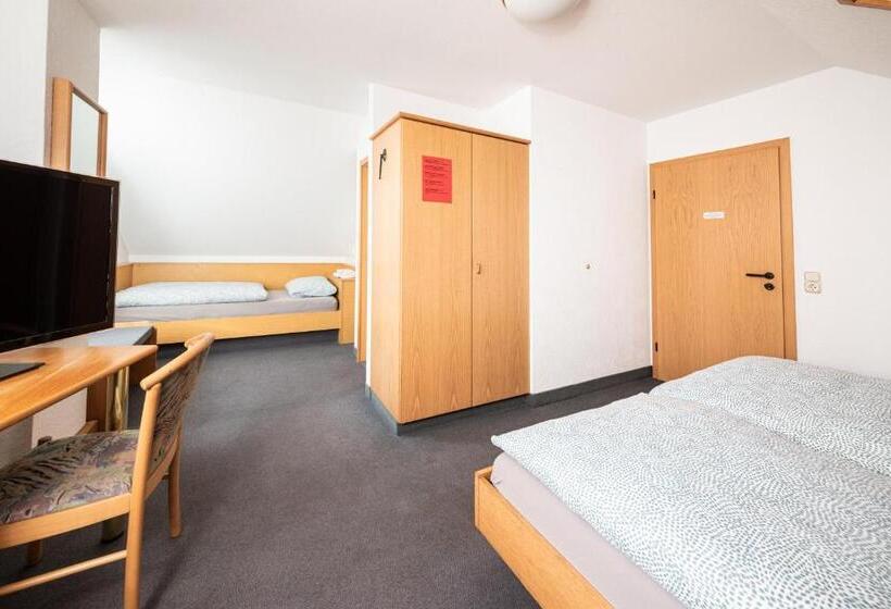 اتاق استاندارد سه نفره, Pension Greiser