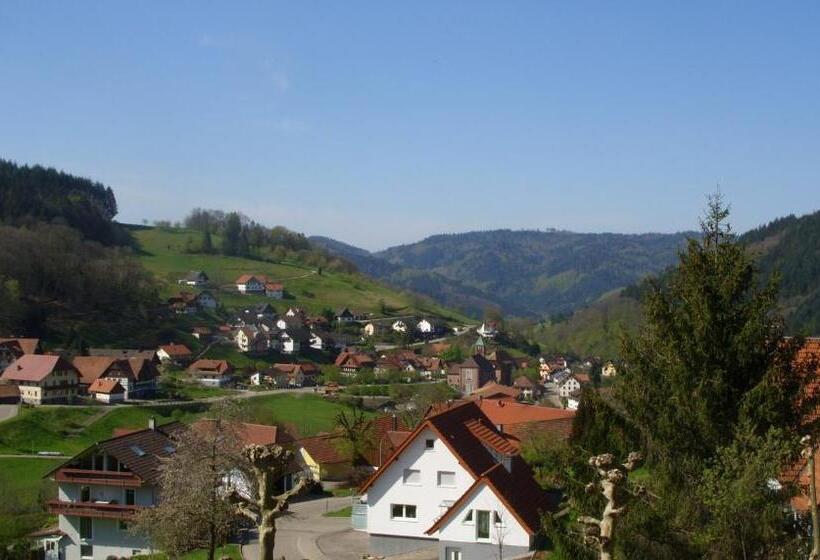 Standard Szoba Erkéllyel, Pension Williams