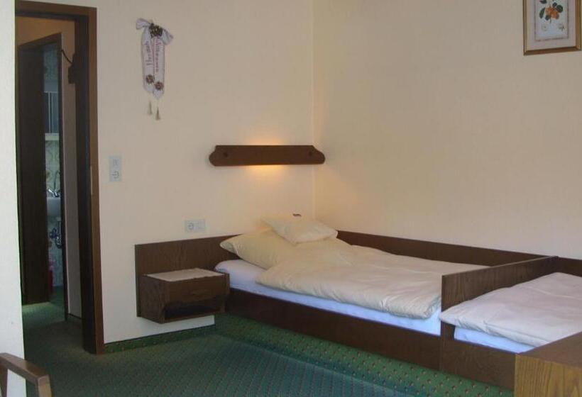 Economy Szoba, Pension Williams