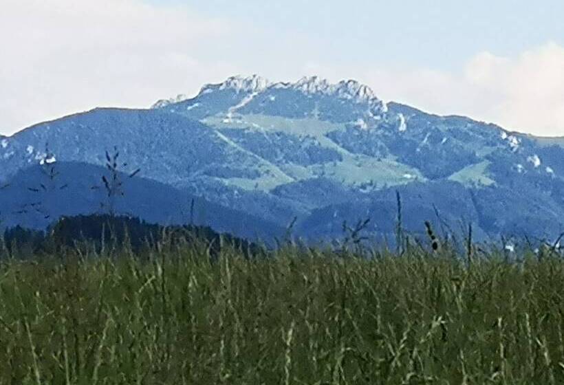 شقة غرفة نوم واحدة مزودة بشُرفة, Auf M Reifnhof