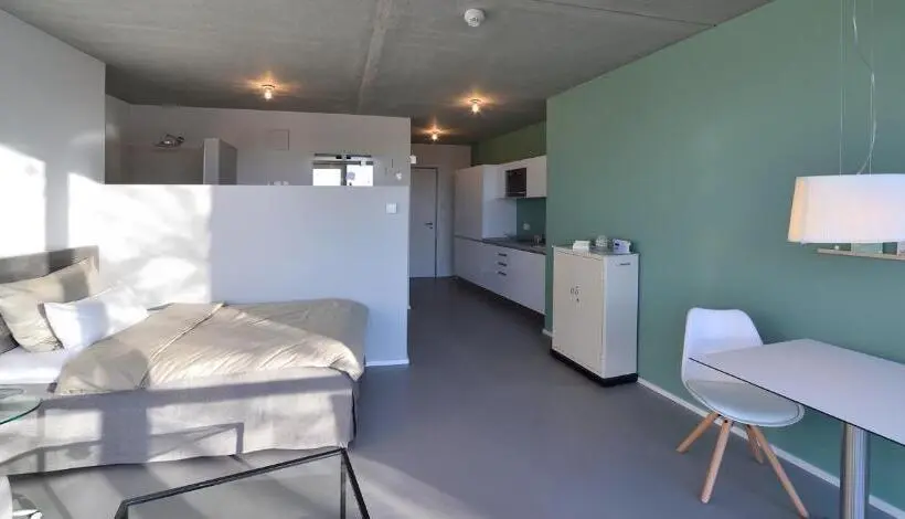 １ベッドルームのスーペリアアパートメント, Loft Apartments