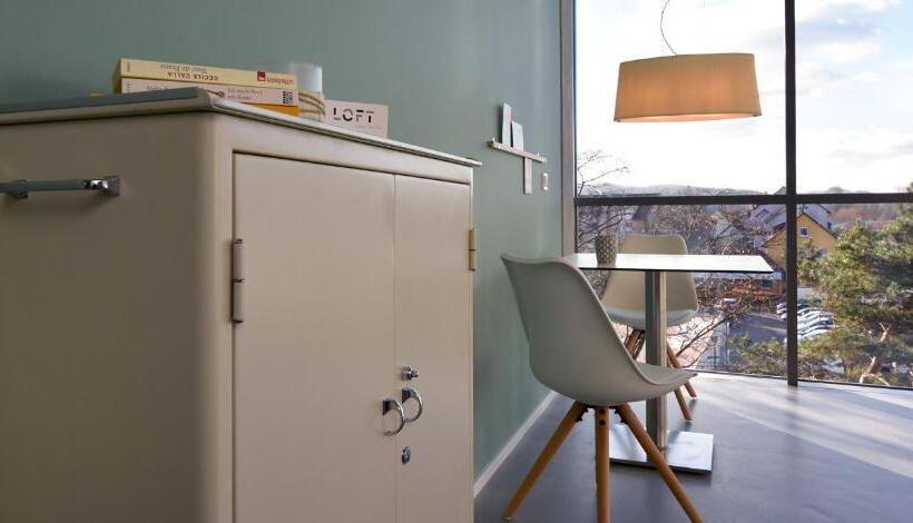 Апартаменты Superior 1 Спальня, Loft Apartments