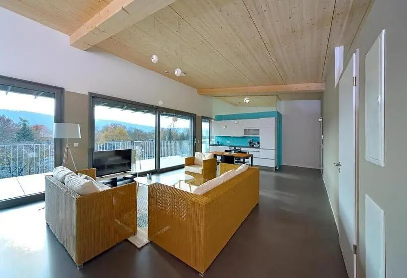 １ベッドルームペントハウスアパート, Loft Apartments