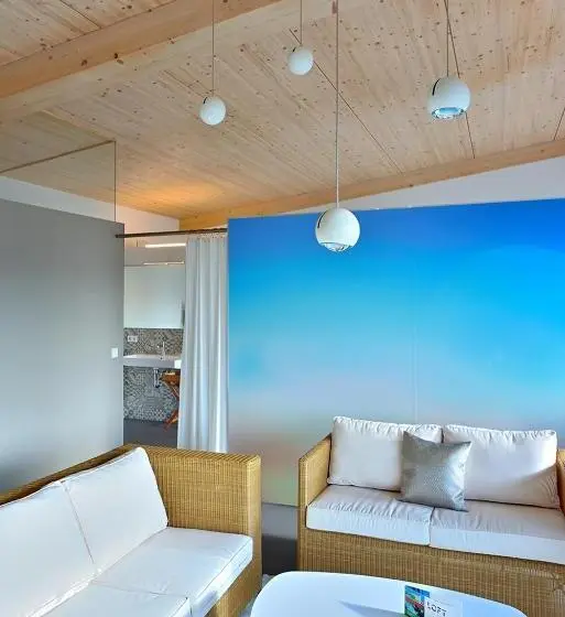 １ベッドルームペントハウスアパート, Loft Apartments
