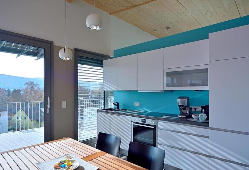 Апартаменты Пентхаус 1 Спальня, Loft Apartments