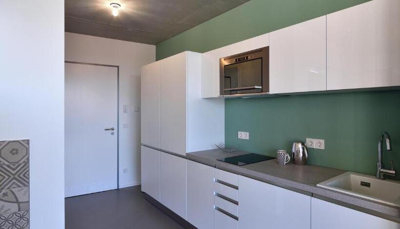 Апартаменты Superior 1 Спальня, Loft Apartments