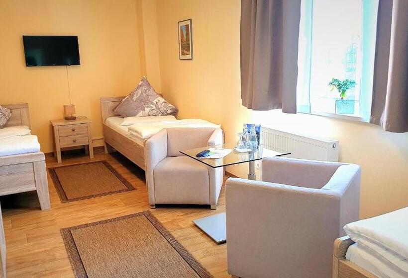 غرفة قياسية ثلاثية مطلة علي الحديقة, Haus Vier