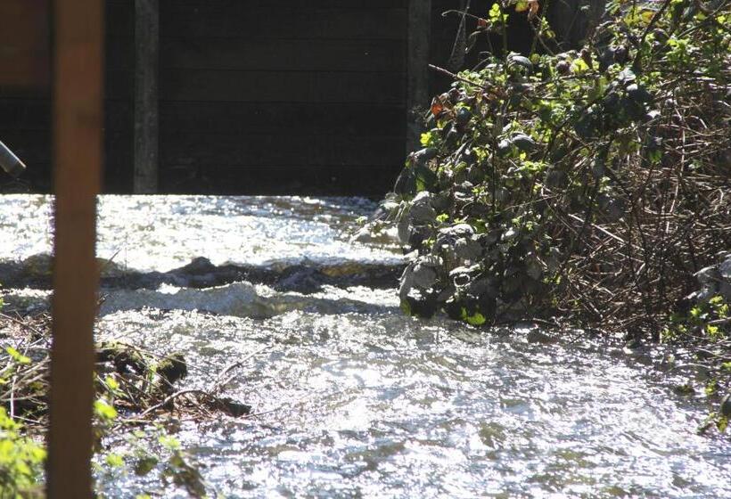 豪华工作室, Ferienhaus Am Kunstspeicher