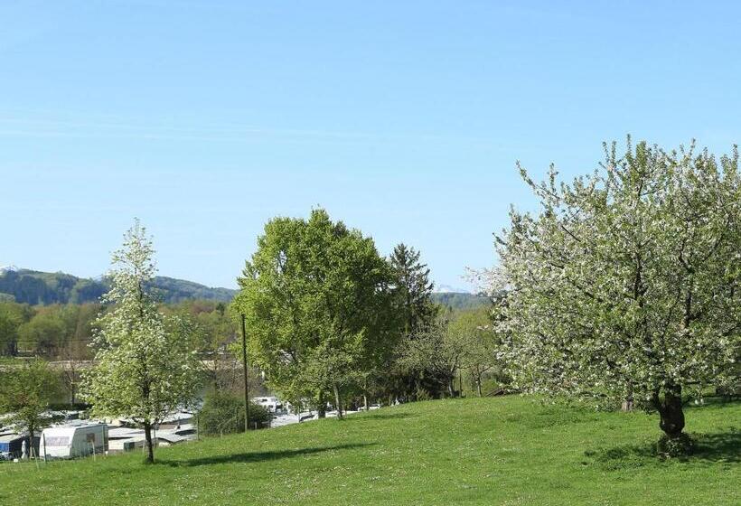 스탠다드 룸 산 전망, Pension Gut Horn