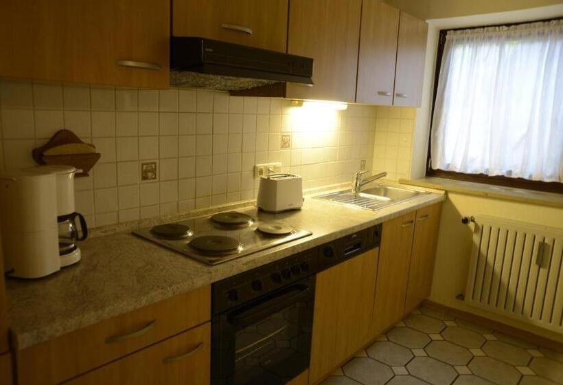 Апартаменты 1 Спальня, Pension Gut Horn