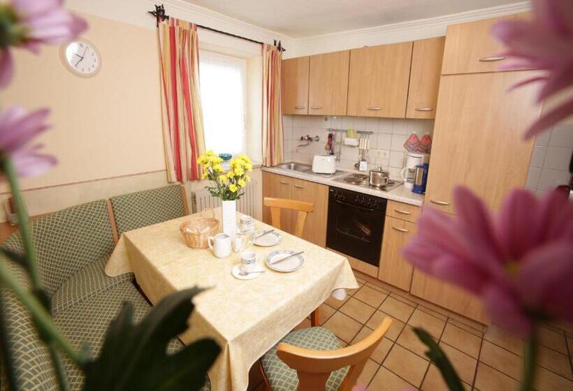 침실 1개 테라스 아파트, Pension Gut Horn